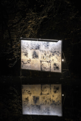 Sven-Julien Kanclerski