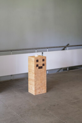 Sven-Julien Kanclerski