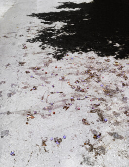 Sven-Julien Kanclerski