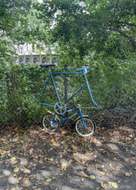 Sven-Julien Kanclerski